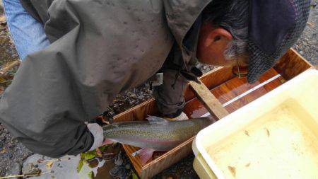 つりぼりあかし 釣果