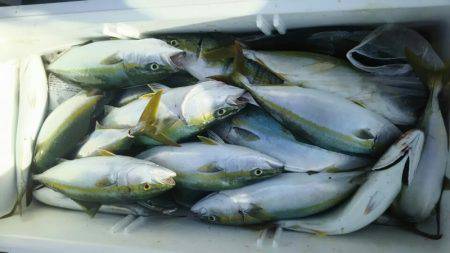 サンマリン 釣果