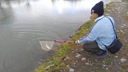 つりぼりあかし 釣果