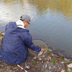 つりぼりあかし 釣果