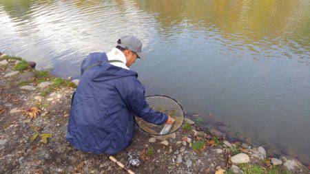 つりぼりあかし 釣果