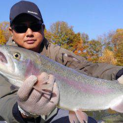 つりぼりあかし 釣果