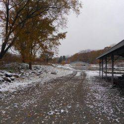 つりぼりあかし 釣果