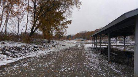 つりぼりあかし 釣果