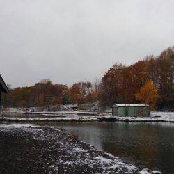 つりぼりあかし 釣果