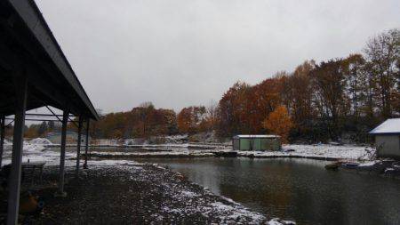 つりぼりあかし 釣果