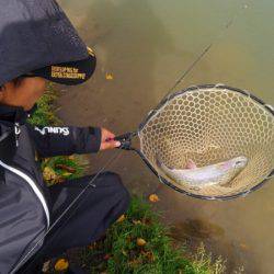 つりぼりあかし 釣果