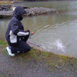 つりぼりあかし 釣果