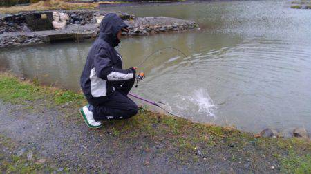 つりぼりあかし 釣果
