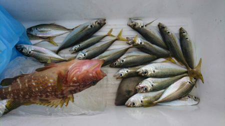 あみや渡船 JIGBOY 釣果