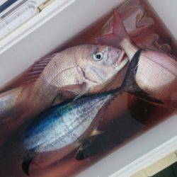 第三共栄丸 釣果