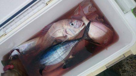 第三共栄丸 釣果