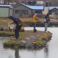 つりぼりあかし 釣果