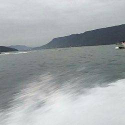 タイラバ遊漁船 ワンピース 釣果