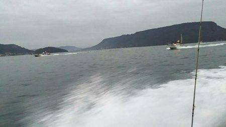 タイラバ遊漁船 ワンピース 釣果