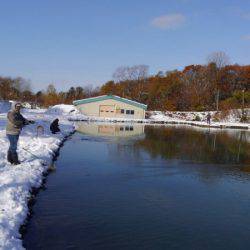 つりぼりあかし 釣果