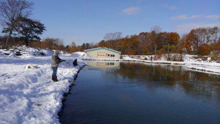つりぼりあかし 釣果