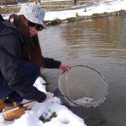 つりぼりあかし 釣果