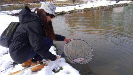 つりぼりあかし 釣果