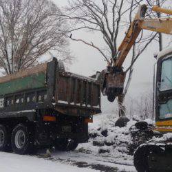 つりぼりあかし 釣果