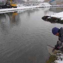 つりぼりあかし 釣果