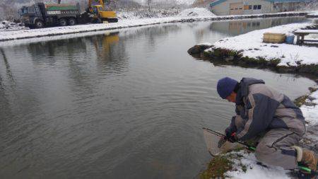 つりぼりあかし 釣果