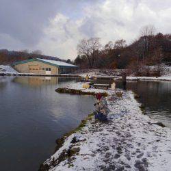 つりぼりあかし 釣果