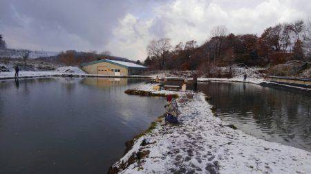 つりぼりあかし 釣果