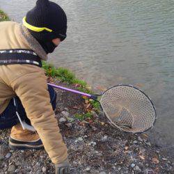 つりぼりあかし 釣果