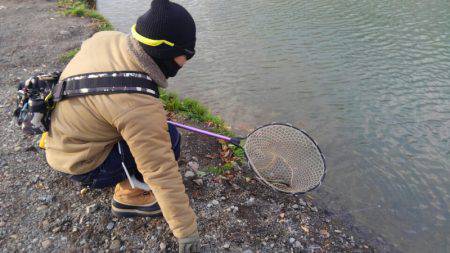 つりぼりあかし 釣果