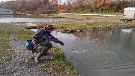 つりぼりあかし 釣果