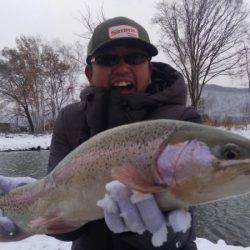 つりぼりあかし 釣果