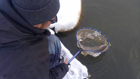 つりぼりあかし 釣果