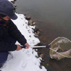 つりぼりあかし 釣果