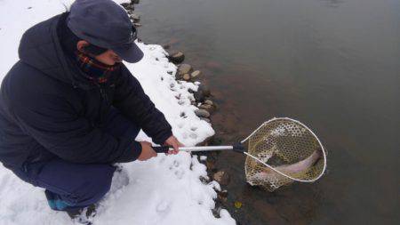 つりぼりあかし 釣果