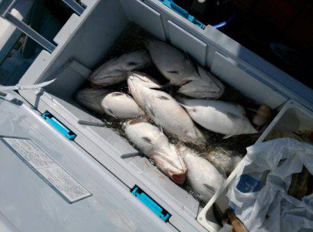 海龍丸（石川） 釣果
