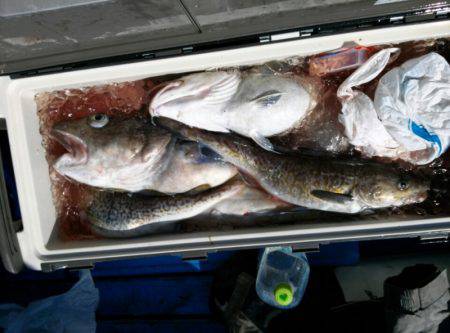 海龍丸（石川） 釣果