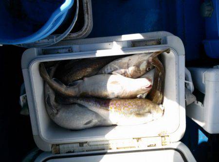 海龍丸（石川） 釣果