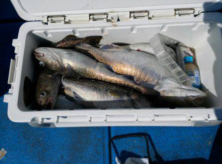 海龍丸（石川） 釣果