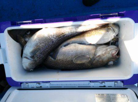 海龍丸（石川） 釣果