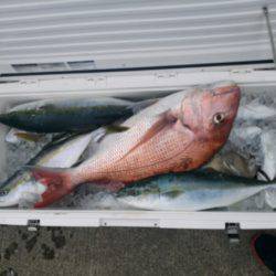 海龍丸（石川） 釣果