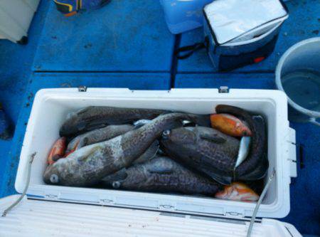 海龍丸（石川） 釣果