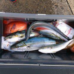 海龍丸（石川） 釣果