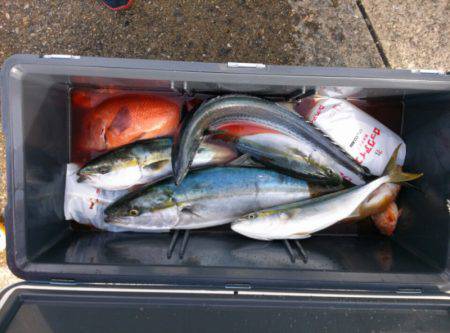 海龍丸（石川） 釣果