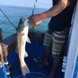 海龍丸(石川) 釣果