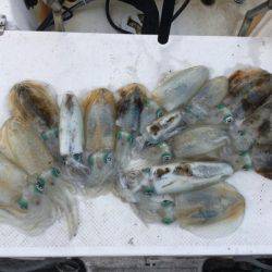 Monster Rush! 釣果