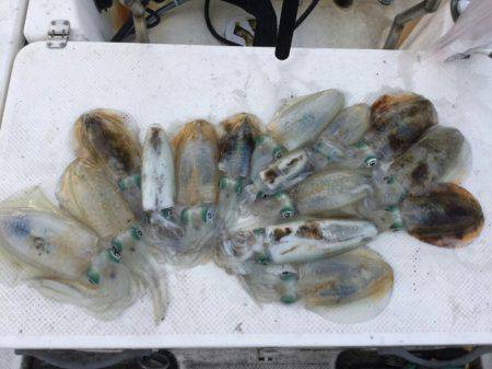 Monster Rush! 釣果