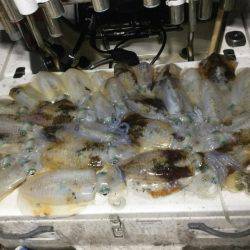 Monster Rush! 釣果