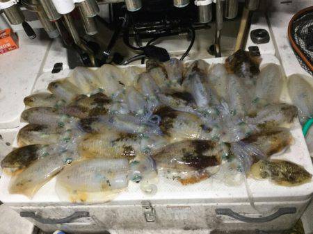 Monster Rush! 釣果