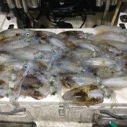 Monster Rush! 釣果